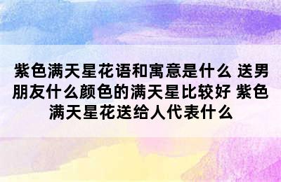 紫色满天星花语和寓意是什么 送男朋友什么颜色的满天星比较好 紫色满天星花送给人代表什么